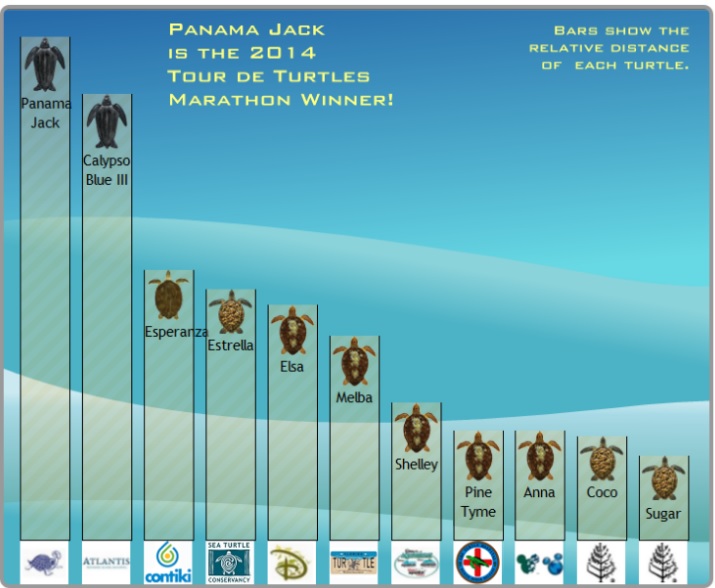 TDT Leaderboard FINAL